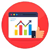 Data Analyst